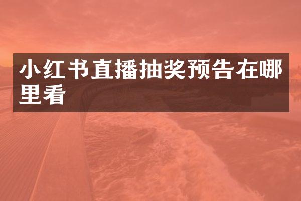 小红书直播抽奖预告在哪里看