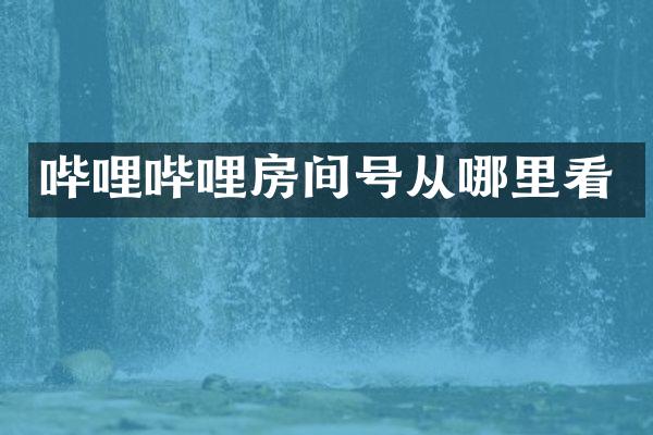 哔哩哔哩房间号从哪里看