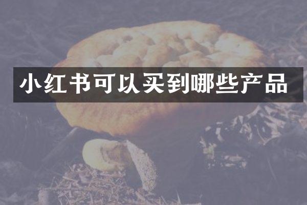 小红书可以买到哪些产品