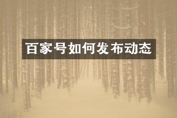 百家号如何发布动态