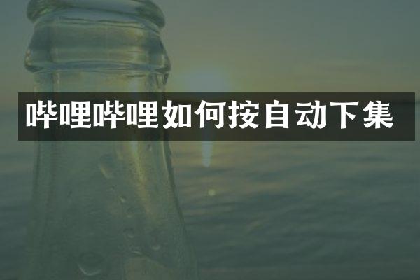 哔哩哔哩如何按自动下集