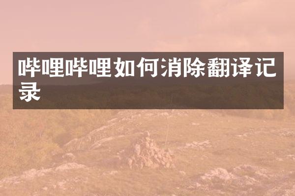 哔哩哔哩如何消除翻译记录