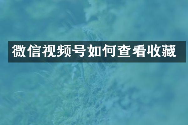 微信视频号如何查看收藏