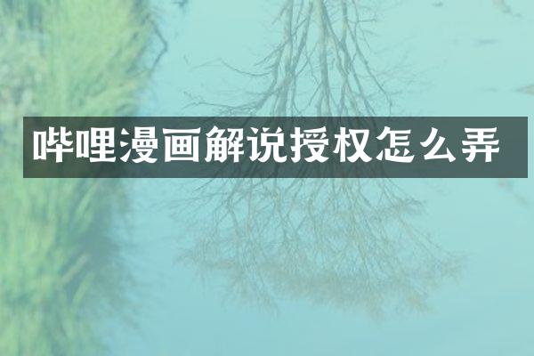 哔哩漫画解说授权怎么弄