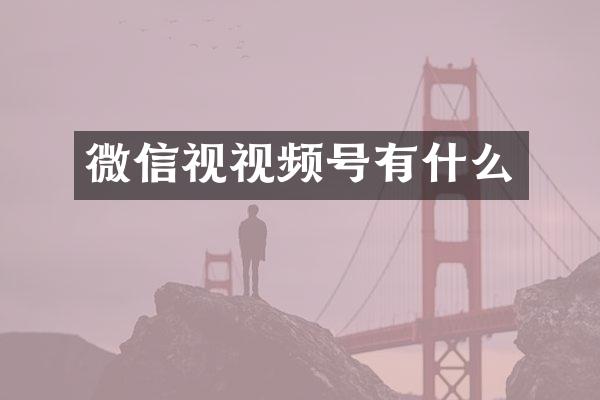 微信视视频号有什么