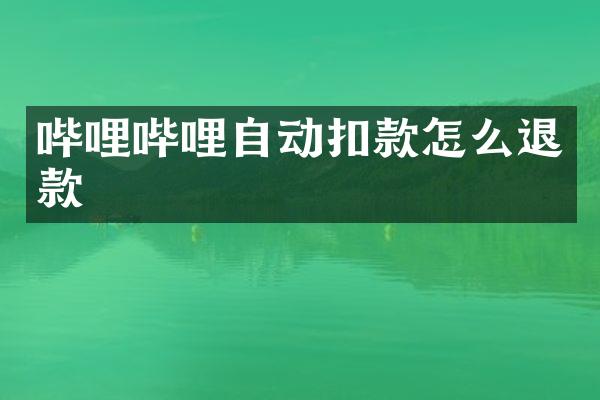 哔哩哔哩自动扣款怎么退款