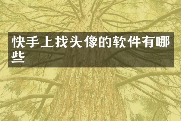 快手上找头像的软件有哪些
