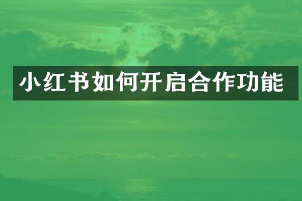 小红书如何开启合作功能