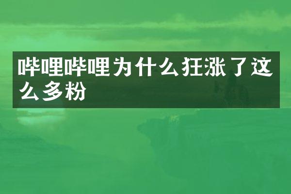 哔哩哔哩为什么狂涨了这么多粉