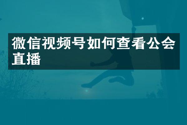 微信视频号如何查看公会直播