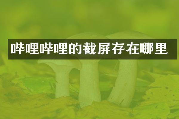 哔哩哔哩的截屏存在哪里
