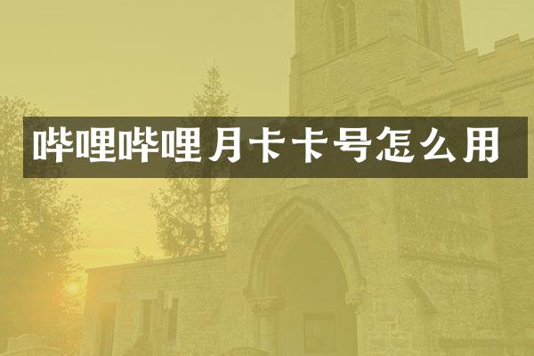 哔哩哔哩月卡卡号怎么用
