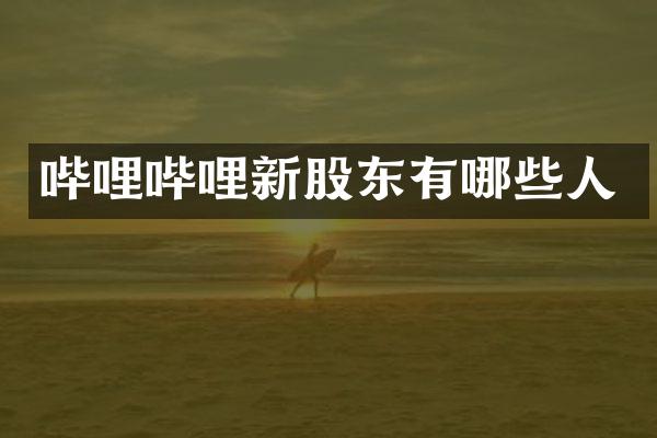 哔哩哔哩新股东有哪些人