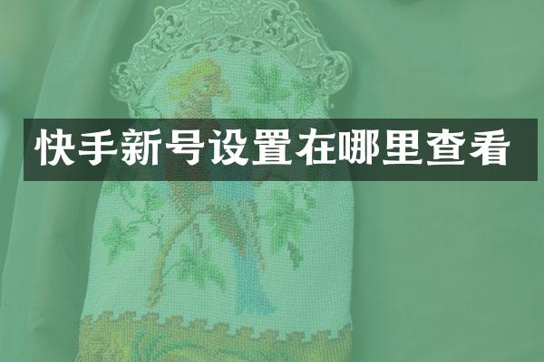 快手新号设置在哪里查看