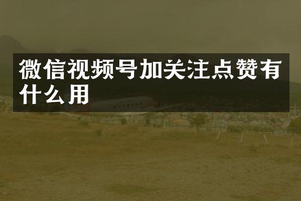 微信视频号加关注点赞有什么用