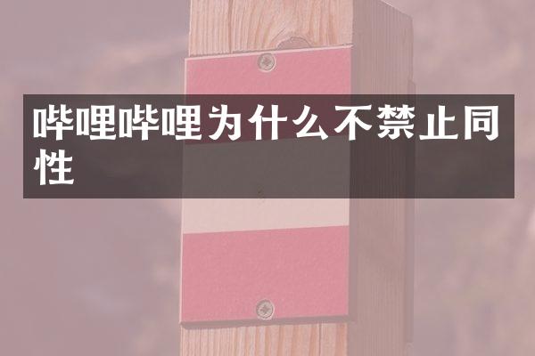 哔哩哔哩为什么不禁止同性