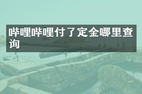 哔哩哔哩付了定金哪里查询