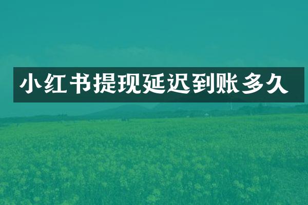 小红书提现延迟到账多久
