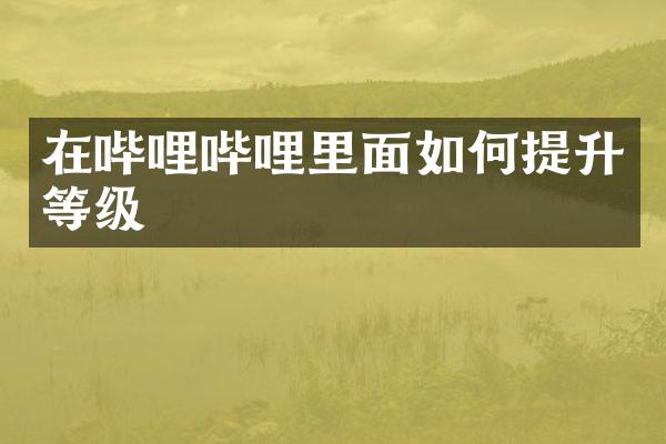 在哔哩哔哩里面如何提升等级