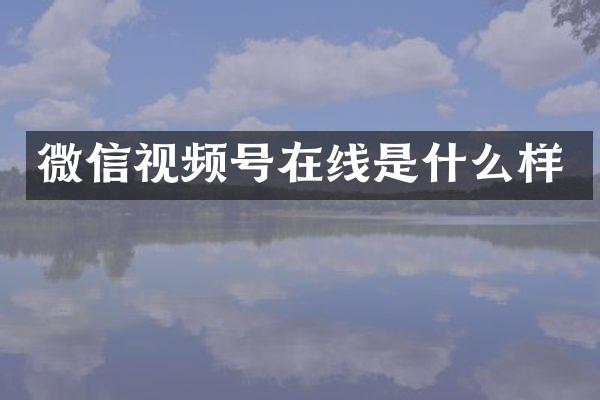 微信视频号在线是什么样