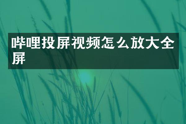 哔哩投屏视频怎么放大全屏