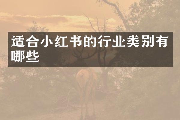 适合小红书的行业类别有哪些