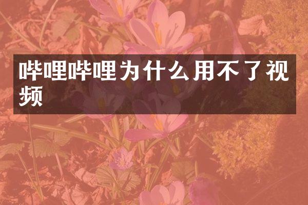 哔哩哔哩为什么用不了视频