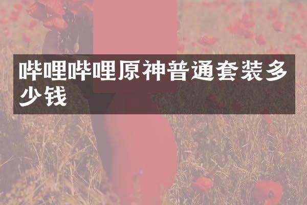 哔哩哔哩原神普通套装多少钱