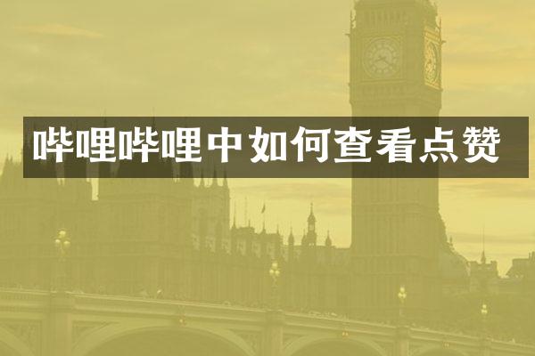 哔哩哔哩中如何查看点赞