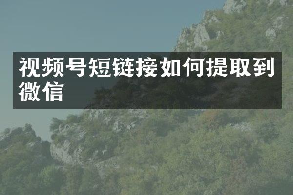 视频号短链接如何提取到微信