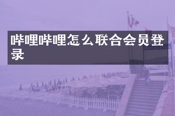 哔哩哔哩怎么联合会员登录