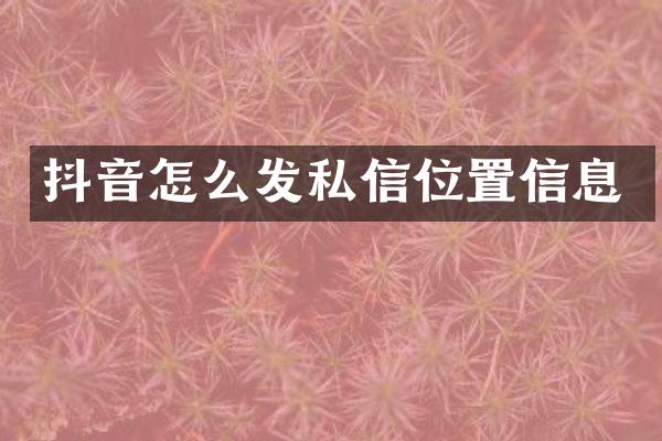 抖音怎么发私信位置信息