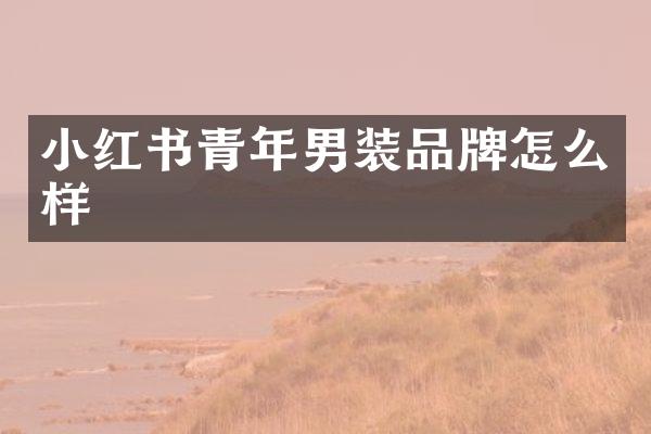 小红书青年男装品牌怎么样