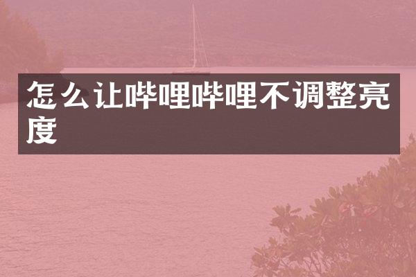 怎么让哔哩哔哩不调整亮度