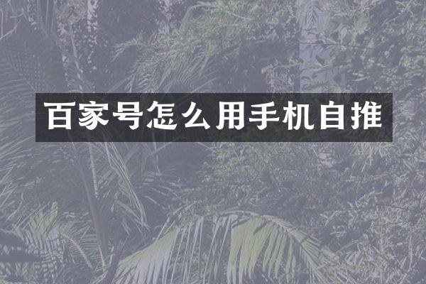 百家号怎么用手机自推