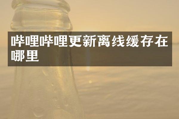哔哩哔哩更新离线缓存在哪里