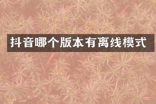 抖音哪个版本有离线模式