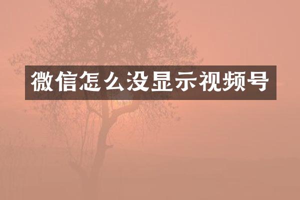 微信怎么没显示视频号