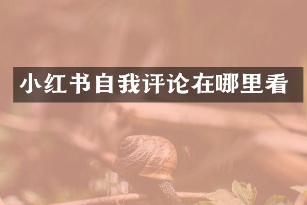 小红书自我评论在哪里看