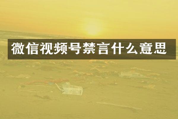 微信视频号禁言什么意思