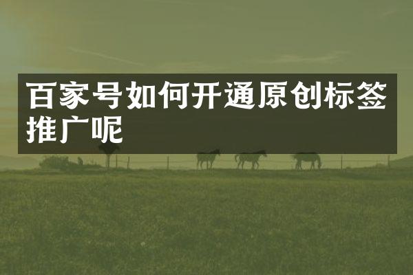 百家号如何开通原创标签推广呢