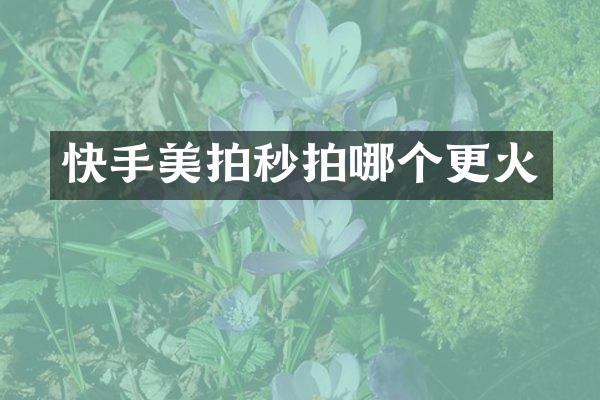 快手美拍秒拍哪个更火