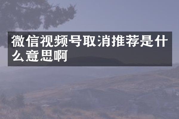 微信视频号取消推荐是什么意思啊