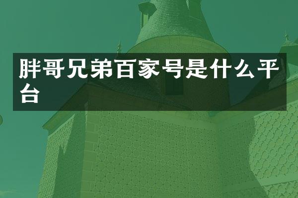 胖哥兄弟百家号是什么平台