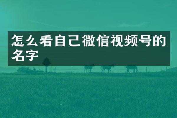 怎么看自己微信视频号的名字