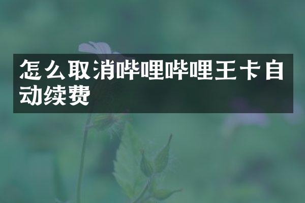 怎么取消哔哩哔哩王卡自动续费