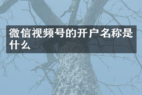 微信视频号的开户名称是什么