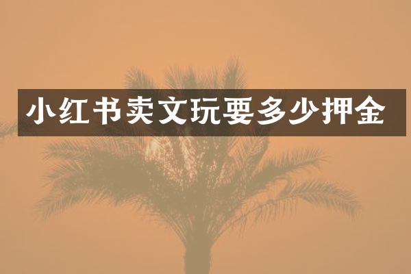 小红书卖文玩要多少押金