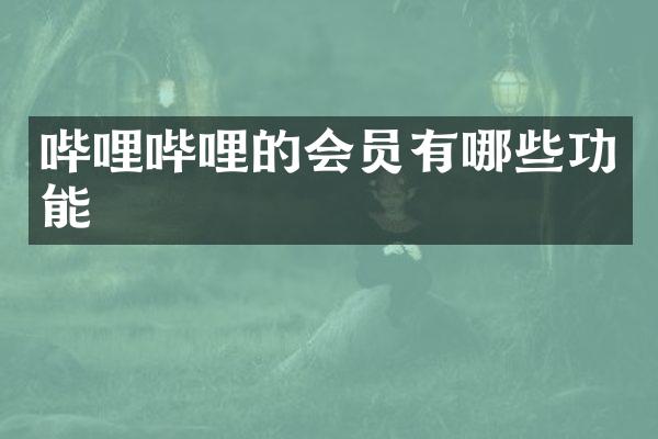 哔哩哔哩的会员有哪些功能