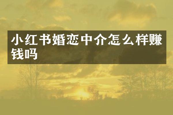 小红书婚恋中介怎么样赚钱吗